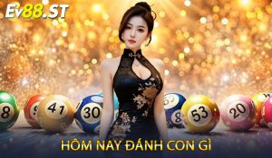 Hôm nay đánh con gì